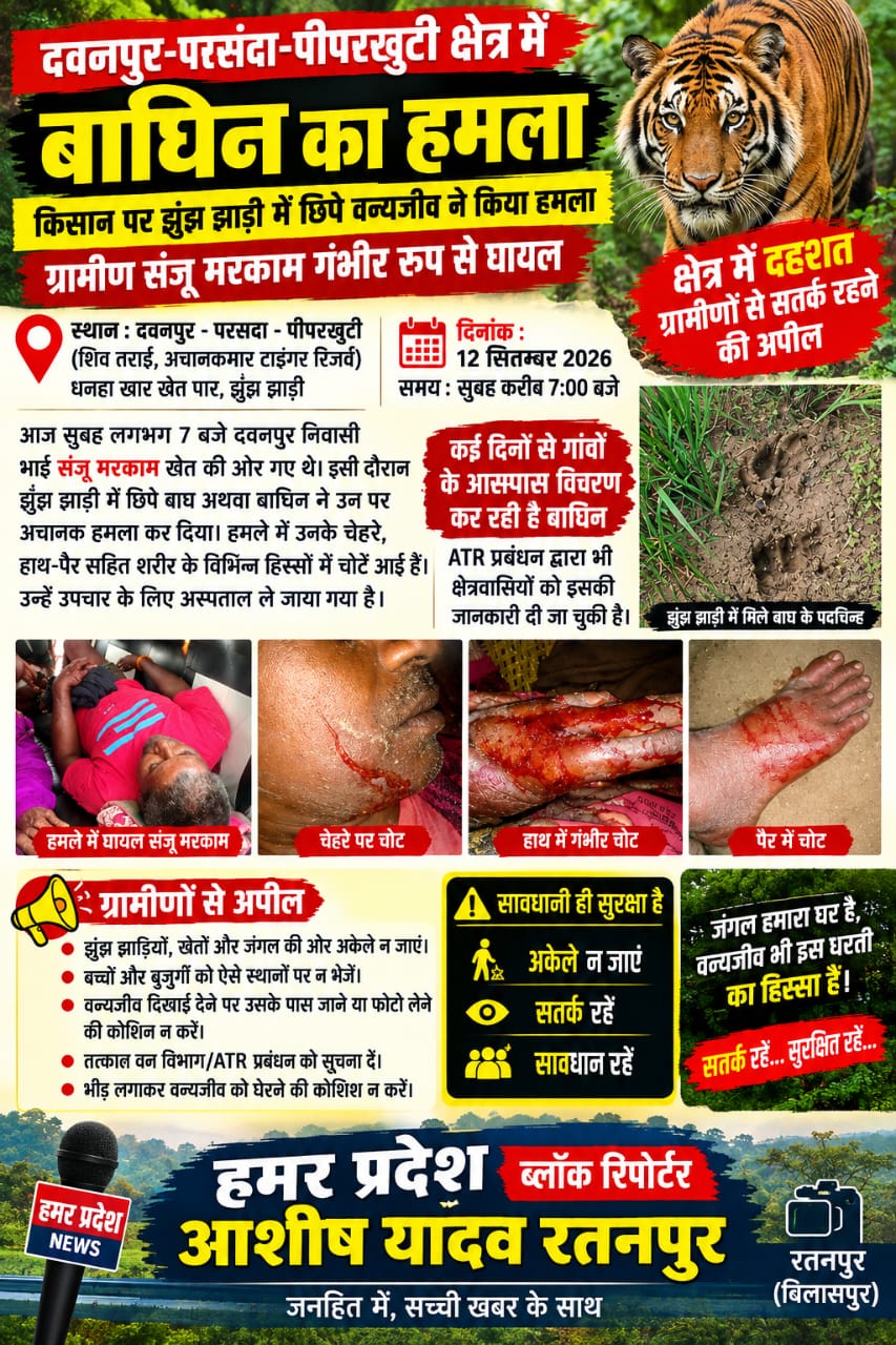 दवनपुर-पीपरखुटी के बीच बाघिन का हमला, ग्रामीण संजू मरकाम घायल