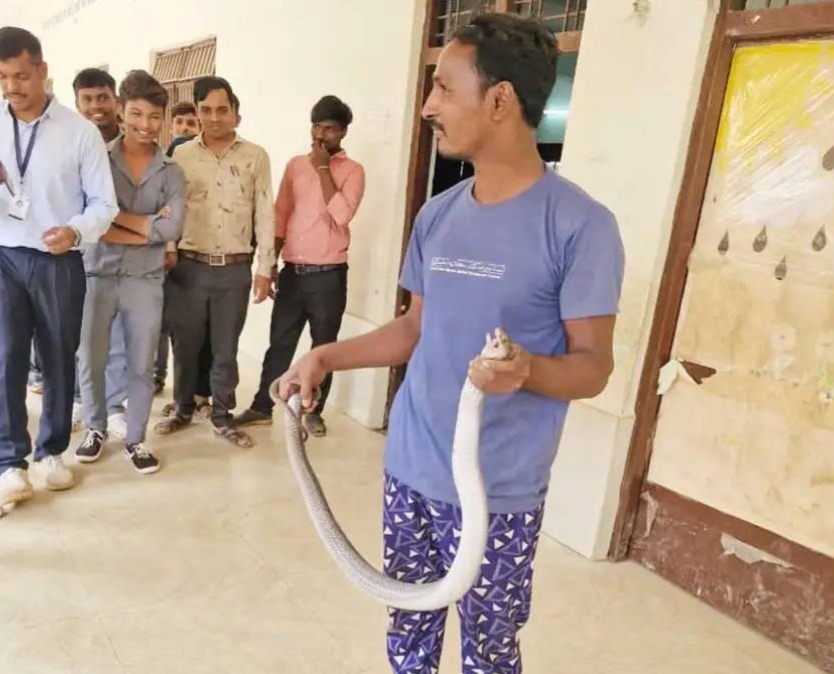 लापरवाही पड़ी भारी: रेस्क्यू के दौरान स्नेक कैचर को सांप ने डसा, इलाज के दौरान हुई मौत