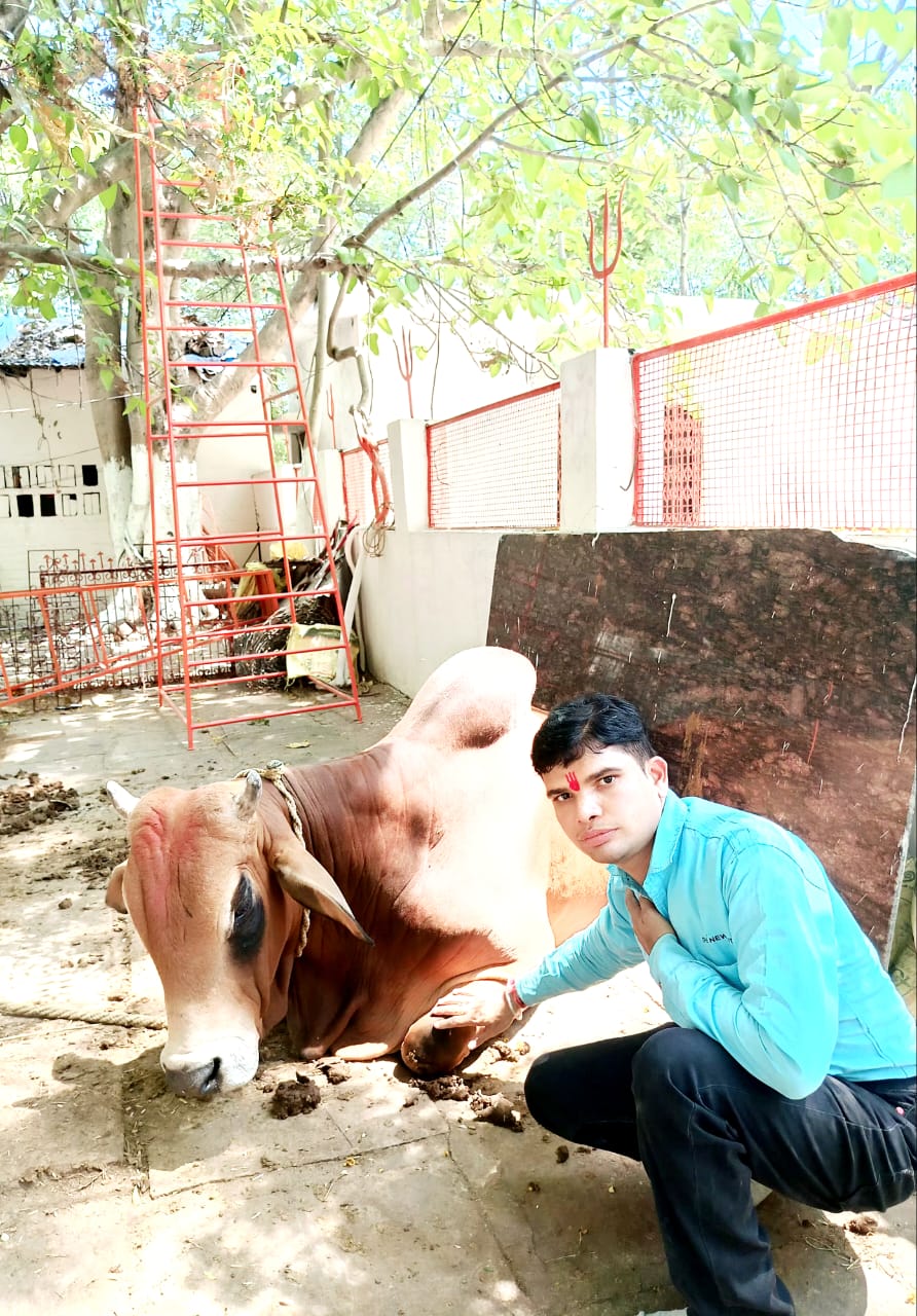 बिलासपुर शहर में बईमा नगोई ग्राम में ब्राम्हण समाज द्वारा गौ सेवा हेतु कार्यक्रम रखा गया था,
